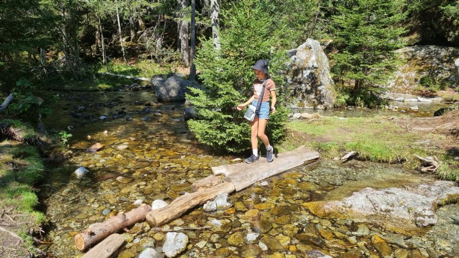 שאמוני והאלפים הצרפתיים